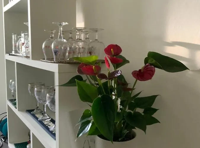 Maison Des 4 Vallees Gasthof